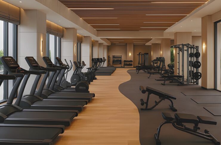 Feel Energized Every Day with Simple Morning Habits Feel Energized Every Day with Simple Morning Habits