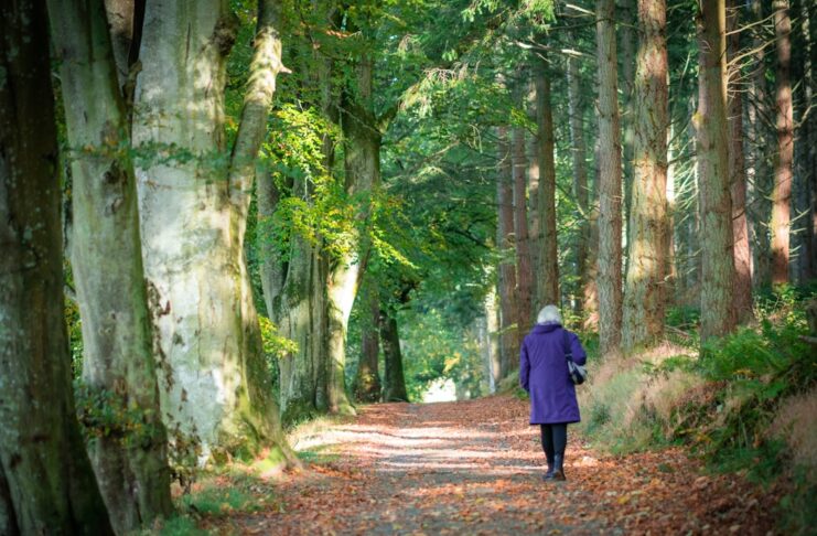 Discover the Brain-Boosting Benefits of Daily Nature Walks