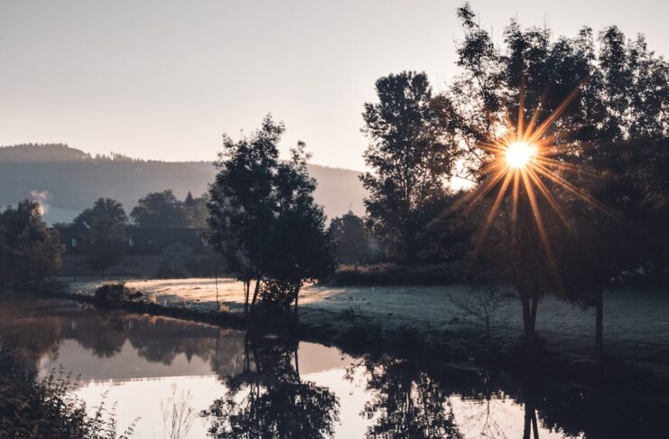 Optimize Your Day: The Impact of Morning Sunlight on Energy Levels Optimize Your Day: The Impact of Morning Sunlight on Energy Levels