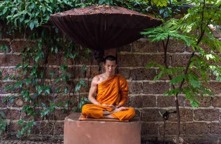 Master Mindfulness: Daily Practices for Longevity and Wellness