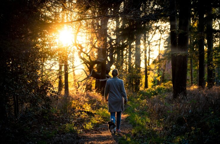 Harness the Power of Mindful Walking for Longevity