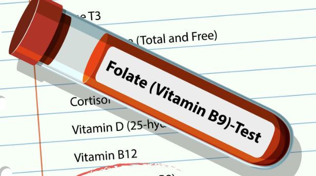 Folate Deficiency Rewires Your Brain