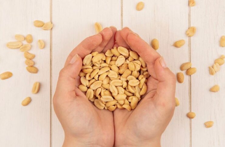 Peanuts Quietly Repair Your Gut